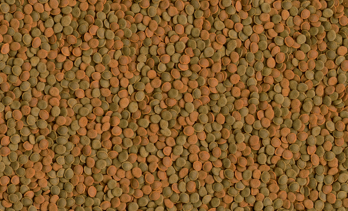 Tetra Wafer Mix 100 ml