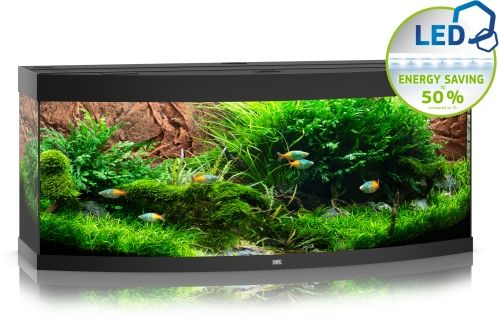 JUWEL Vision 450 LED – Panorama-Aquarium mit moderner Technik