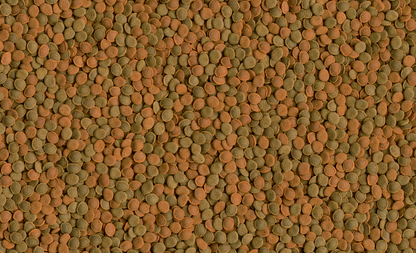 Tetra Wafer Mix 100 ml