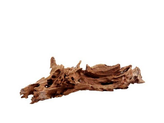 Mangrove M ca. 25-35cm