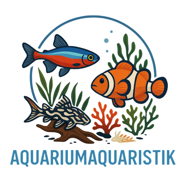 AquariumAquaristik